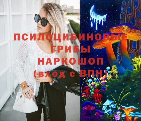ГАЛЛЮЦИНОГЕННЫЕ ГРИБЫ Михайлов