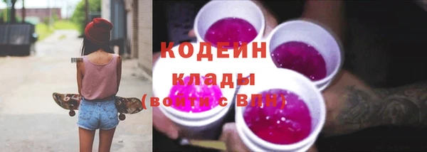 ГАЛЛЮЦИНОГЕННЫЕ ГРИБЫ Михайлов