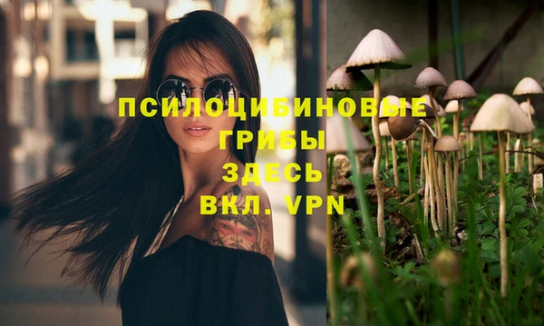 бошки Михайловск