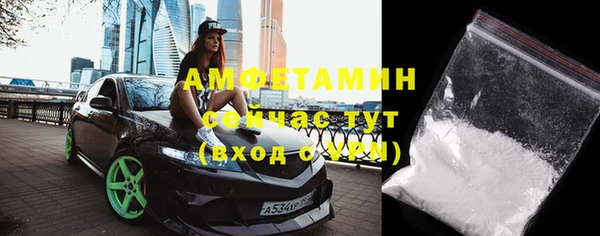 ГАЛЛЮЦИНОГЕННЫЕ ГРИБЫ Михайлов