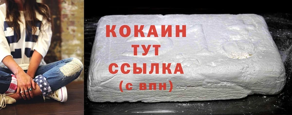 ГАЛЛЮЦИНОГЕННЫЕ ГРИБЫ Михайлов