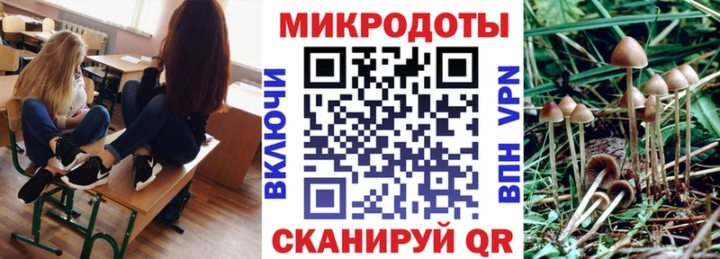где продают наркотики  Ногинск  Галлюциногенные грибы мухоморы 