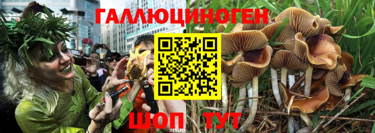 Галлюциногенные грибы мицелий Ногинск
