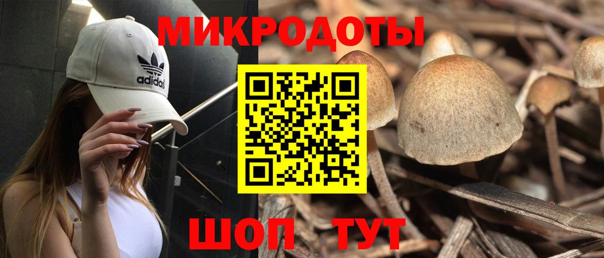 Псилоцибиновые грибы мицелий  наркошоп  Ногинск  Вход с VPN 